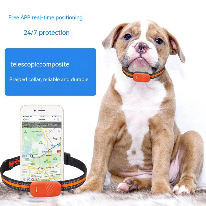 Rastreador GPS à Prova d’água para Pets — Localize seu Animal em Tempo Real
